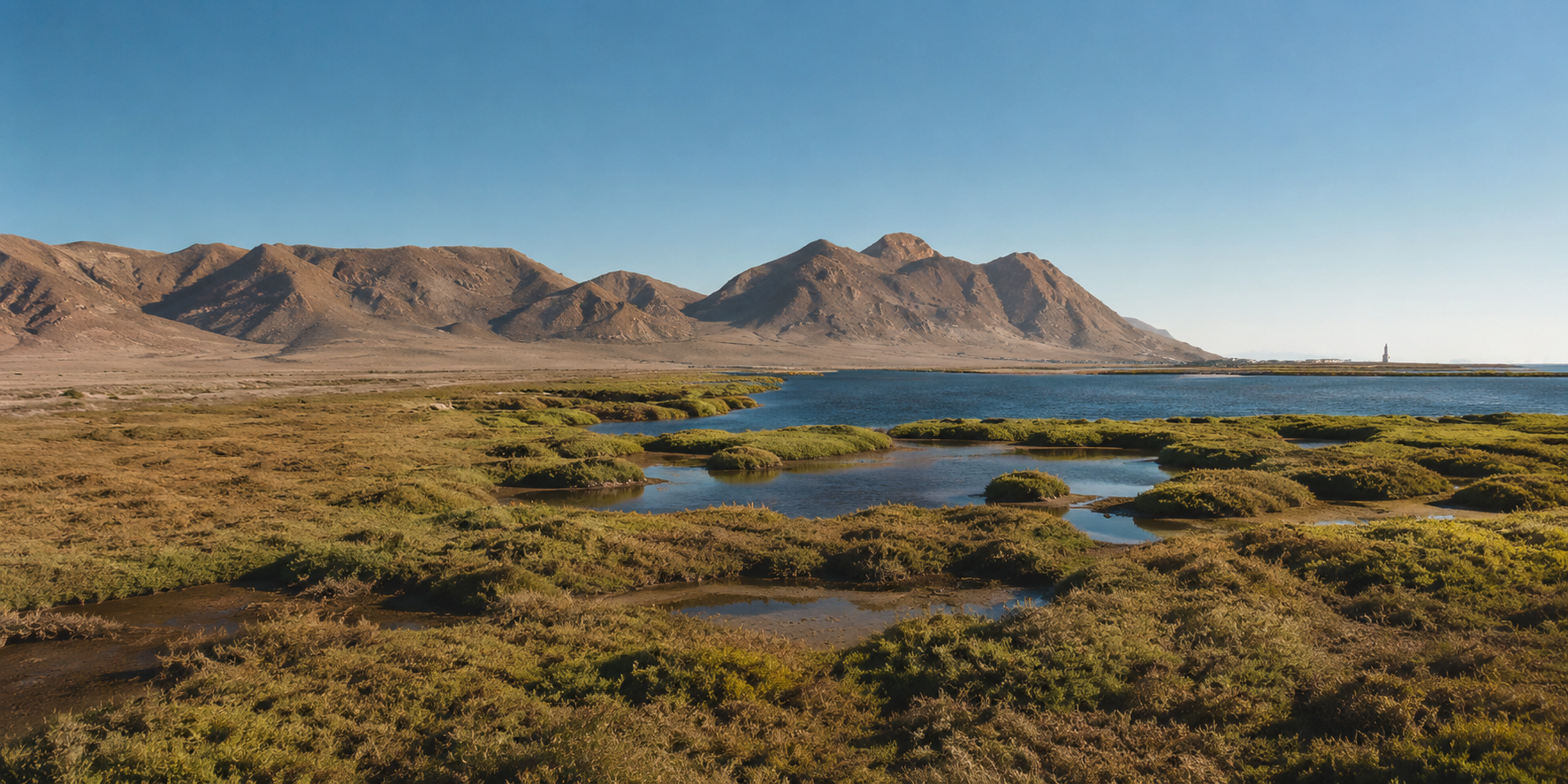Nacimos en Cabo de Gata, donde todo comienza